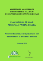 Recomendaciones para la prevención y el tratamiento de la deficiencia de hierro