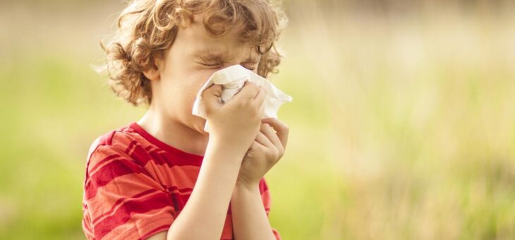 Una visita frecuente de la primavera: ¿Qué es y qué  hacemos con la rinitis alérgica?